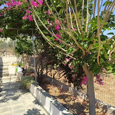 οικία αγρόκτημα *